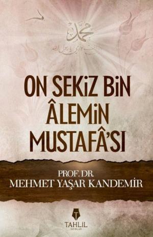 Cover of the book On Sekiz Bin Alemin Mustafa'sı by Yaşar Değirmenci