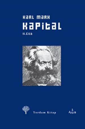 Book cover of Kapital Cilt: 2