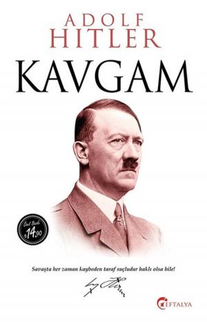 Book cover of Kavgam