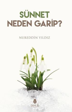 Cover of the book Sünnet Neden Garip? by Nureddin Yıldız