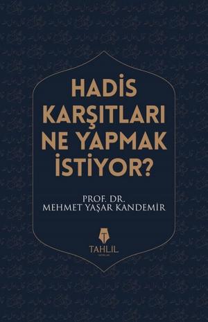 Cover of the book Hadis Karşıtları Ne Yapmak İstiyor? by M. Yaşar Kandemir