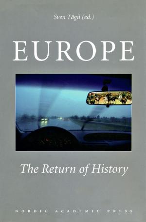 Cover of the book Europe by Anders Persson, Stellan Welin