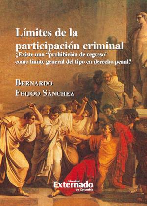 Cover of the book Límites de participación criminal ¿Existe una prohibición de regreso como límite general del tipo en derecho penal? by Ernesto Rengifo García