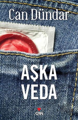 Cover of the book Aşka Veda by Paulo Coelho