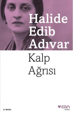 Cover of the book Kalp Ağrısı by Stefan Zweig