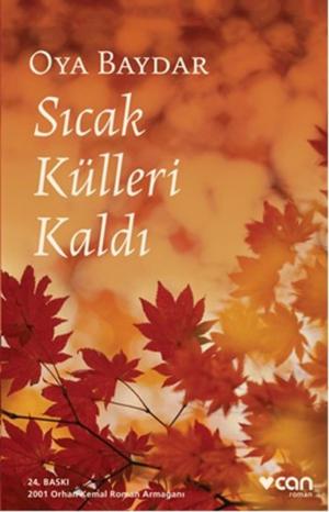 Cover of the book Sıcak Külleri Kaldı by D. H. Lawrence