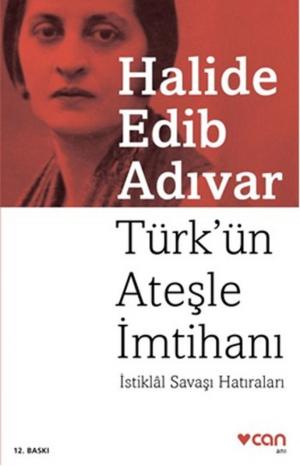 Cover of the book Türk'ün Ateşle İmtihanı by Aydın Büke
