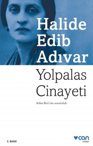Cover of the book Yolpalas Cinayeti by Can Dündar