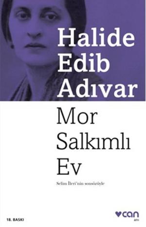 Cover of the book Mor Salkımlı Ev by Adnan Binyazar
