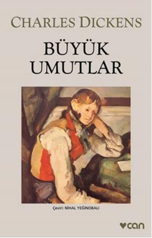 Cover of the book Büyük Umutlar by Paul Auster