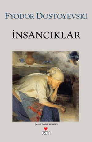 Cover of the book İnsancıklar by Tahsin Yücel