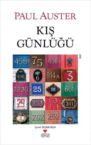 Book cover of Kış Günlüğü