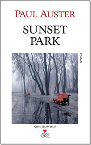 Book cover of Sunset Park
