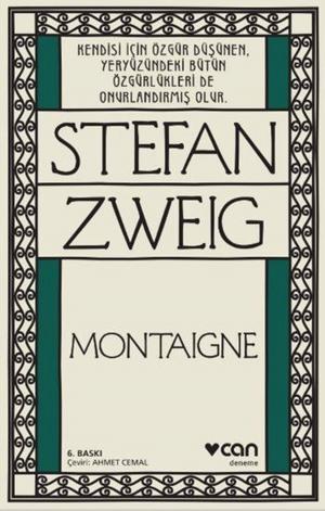 Book cover of Montaigne
