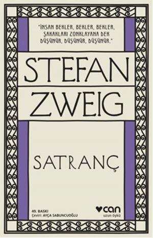 Cover of the book Satranç by Doris Lessing