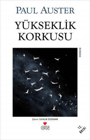 Book cover of Yükseklik Korkusu (Vertigo)