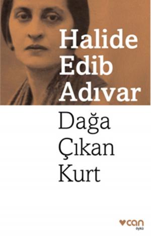 Cover of the book Dağa Çıkan Kurt by Edgar Allan Poe