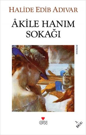 Cover of Akile Hanım Sokağı