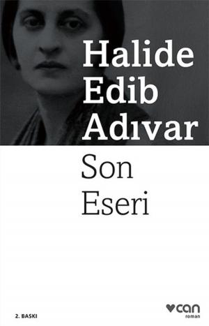 Cover of the book Son Eseri by Fyodor Mihailoviç Dostoyevski
