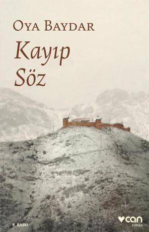 Book cover of Kayıp Söz