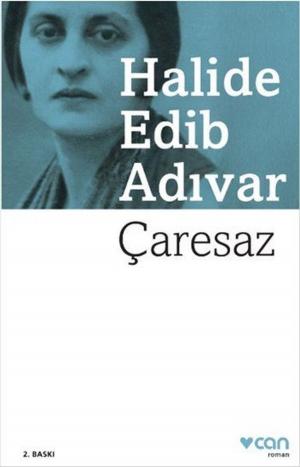 bigCover of the book Çaresaz by 