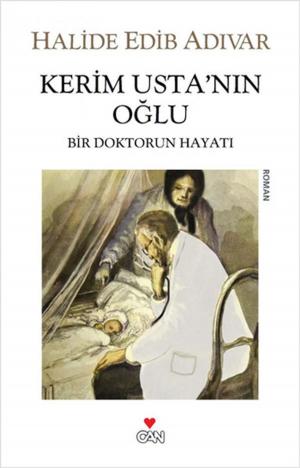 Cover of the book Kerim Usta'nın Oğlu by Can Dündar
