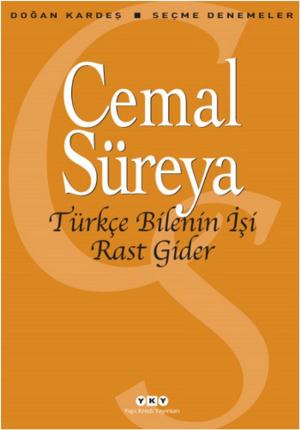 Cover of the book Türkçe Bilenin İşi Rast Gider by Emine Sevgi Özdamar