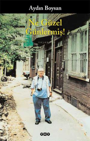 Cover of the book Ne Güzel Günlermiş by Raymond Roussel