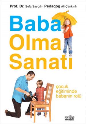 Cover of the book Baba Olma Sanatı by Selim Gündüzalp