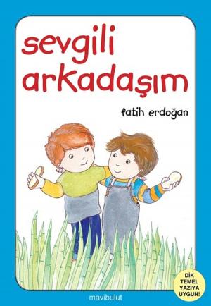 Book cover of Sevgili Arkadaşım