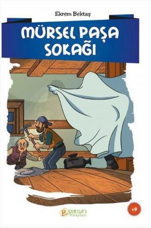 Cover of the book Mürsel Paşa Sokağı by Cafer Durmuş