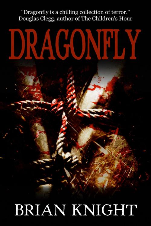 Cover of the book Dragonfly by Brian Knight, Tulpa Books