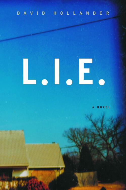 Cover of the book L.I.E. by David Hollander, Random House Publishing Group