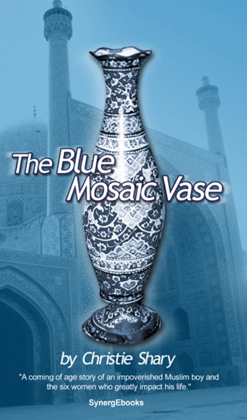 Cover of the book The Blue Mosaic Vase by Christie Shary, SynergEbooks
