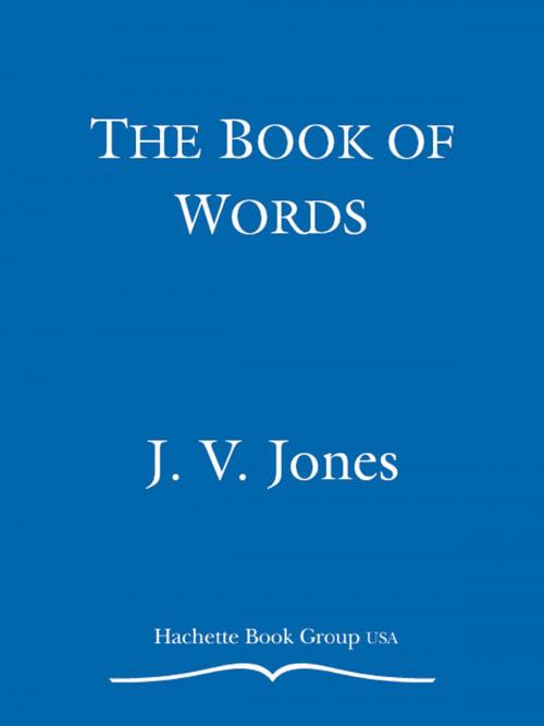 Cover of the book The Book of Words by J. V. Jones, Grand Central Publishing