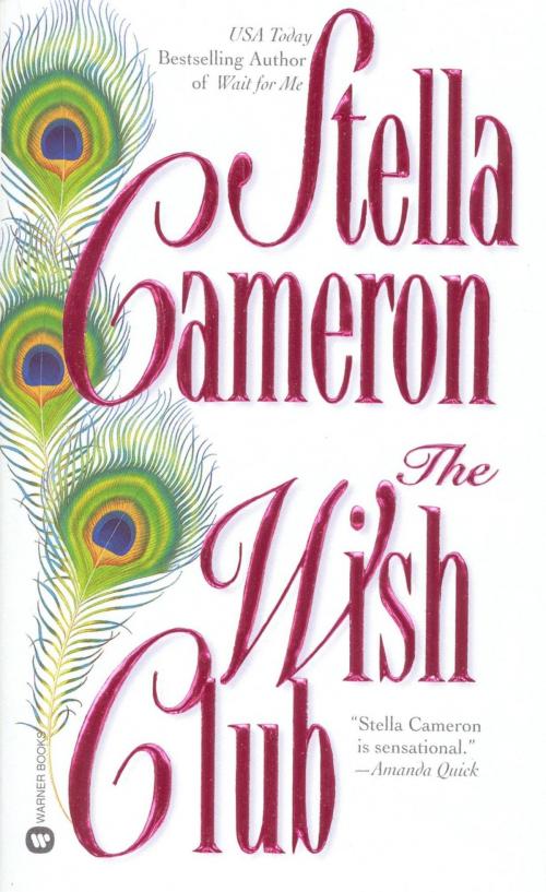 Cover of the book The Wish Club by Stella Cameron, Grand Central Publishing