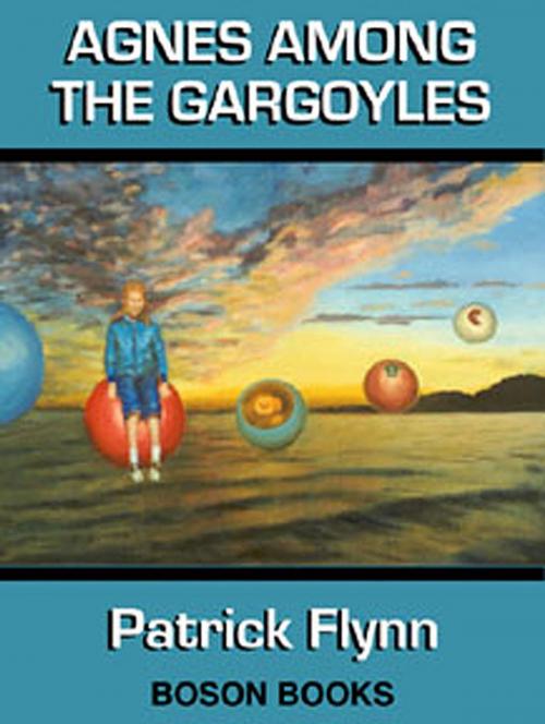 Cover of the book Agnes Among the Gargoyles by Patrick  Flynn, Bitingduck Press