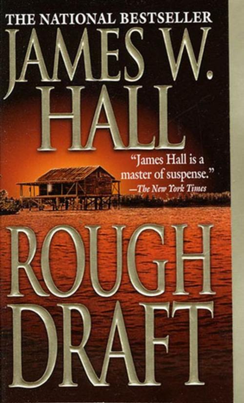 Cover of the book Rough Draft by James W. Hall, St. Martin's Press