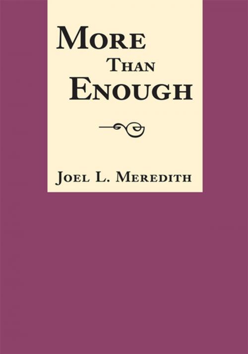 Cover of the book More Than Enough by Joel L. Meredith, Xlibris US