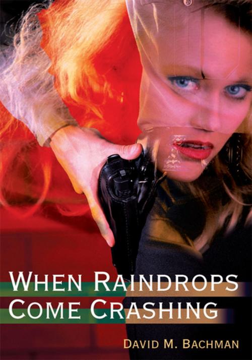 Cover of the book When Raindrops Come Crashing by David M. Bachman, iUniverse