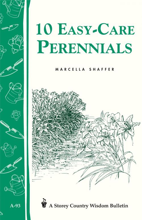 Cover of the book 10 Easy-Care Perennials by Marcella Shaffer, Storey Publishing, LLC