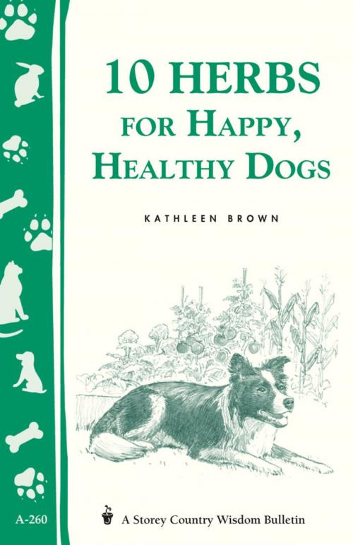 Cover of the book 10 Herbs for Happy, Healthy Dogs by Kathleen Brown, Storey Publishing, LLC