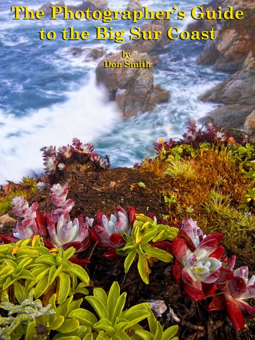 Cover of the book The Photographer's Guide to the Big Sur Coast by Don Smith, BookBaby