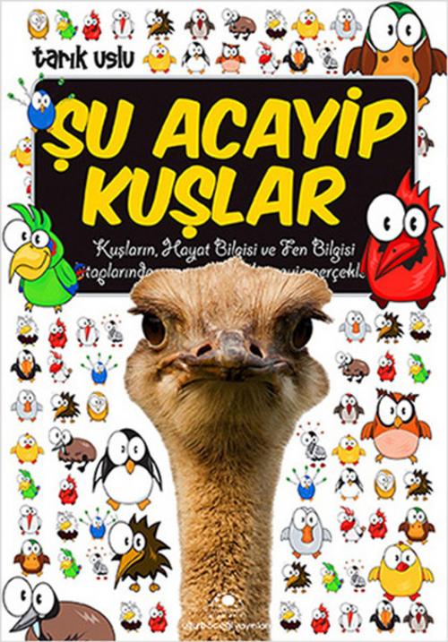 Cover of the book Şu Acayip Kuşlar by Tarık Uslu, Uğurböceği