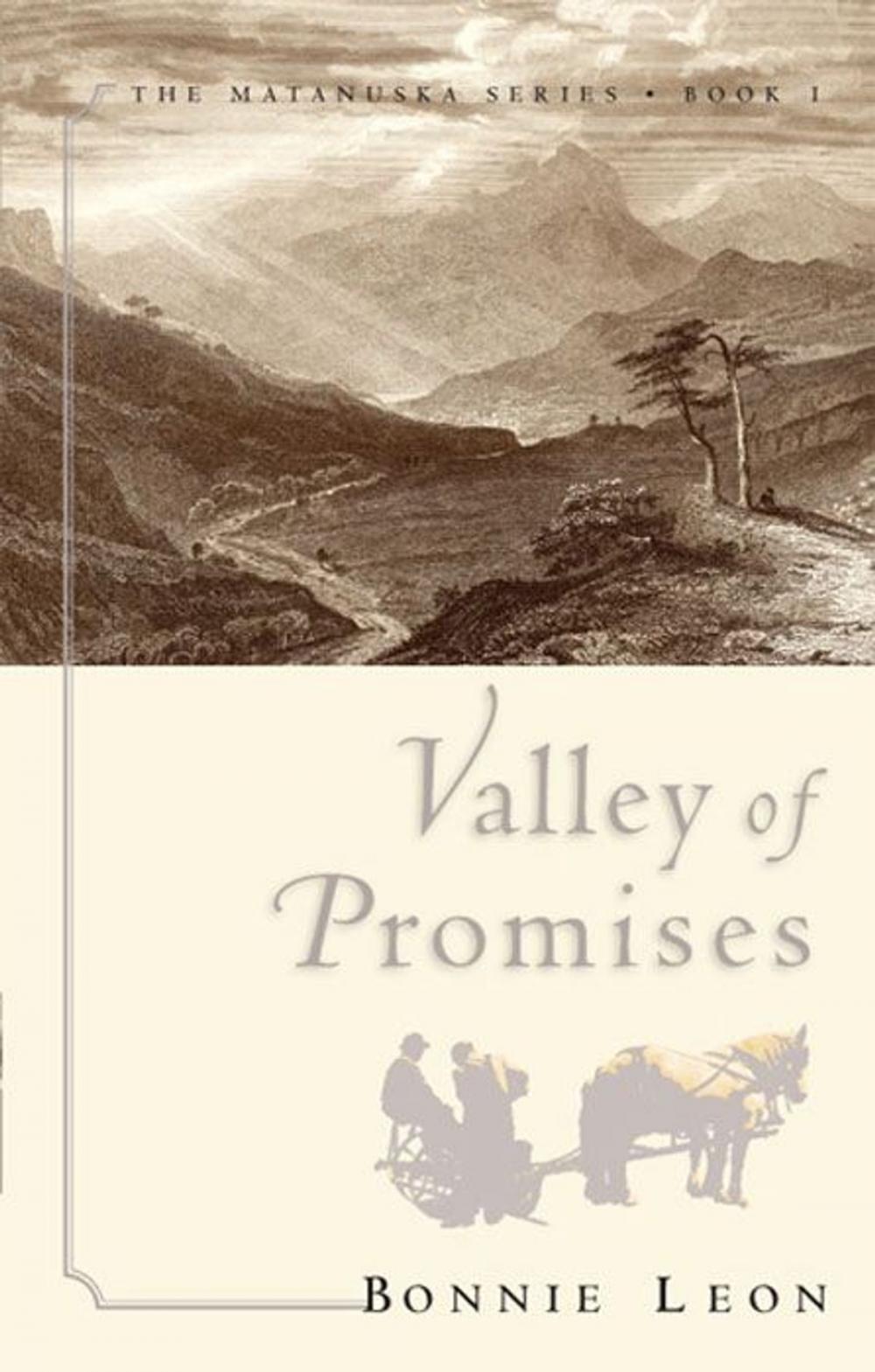 Big bigCover of Valley of Promises