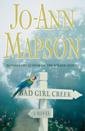 Cover of the book Bad Girl Creek by Bill Scheft