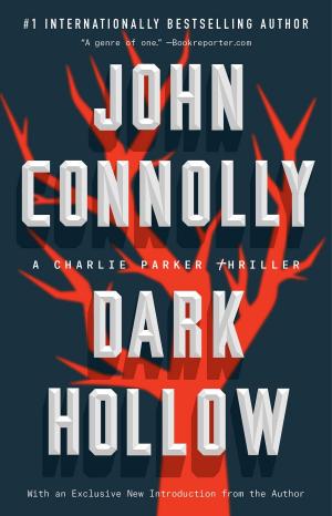 Cover of the book Dark Hollow by Lene Kaaberbøl