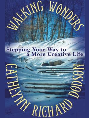 Cover of the book Walking Wonders by Kate White