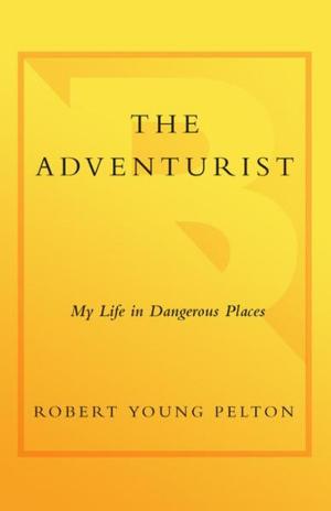 Book cover of The Adventurist
