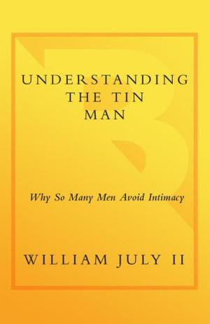 bigCover of the book Understanding the Tin Man by 
